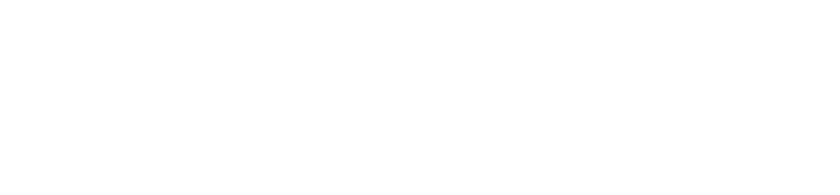 Magaza Digital