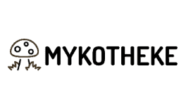 Mykotheke Wien - Digital Marketing - Google Ads 2020-2022